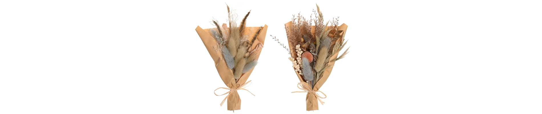 RAMO FLOR SECA 10X5X18 2 SURT.