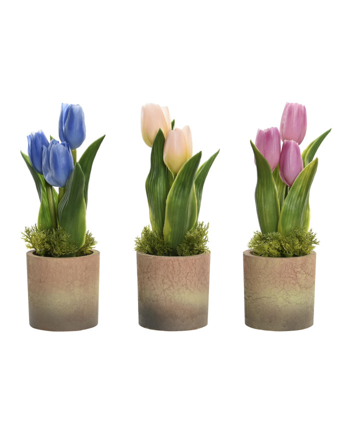 PLANTA PP ESPUMA 12X12X25 3 SURT.