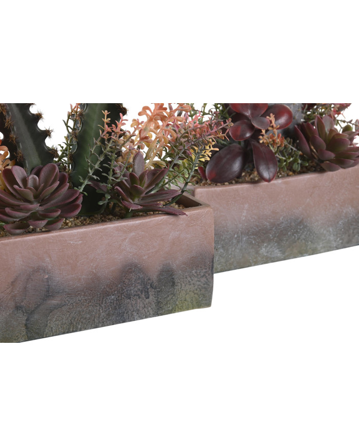 PLANTA PP EVA 19X9X22 CACTUS 2 SURT.
