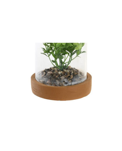 PLANTA PE CRISTAL 12X12X18 2 SURT.