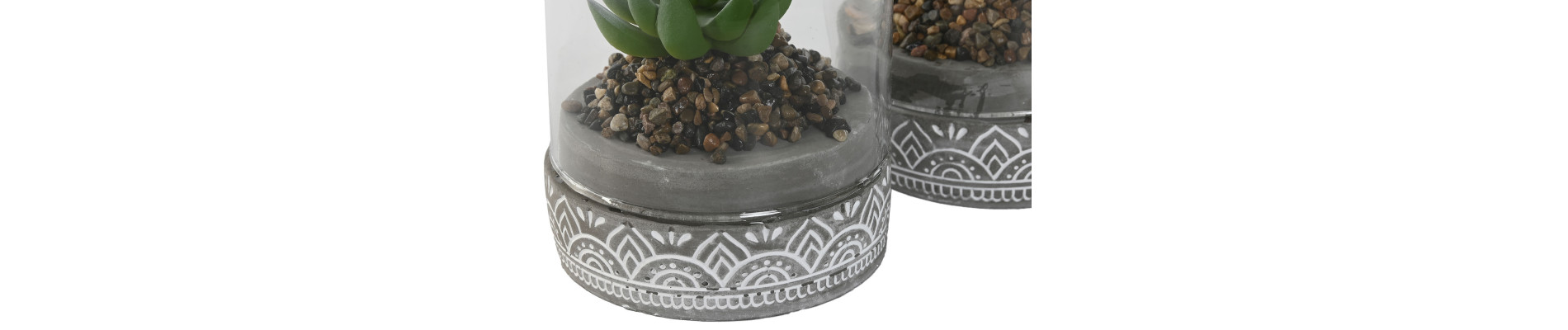 PLANTA PE CRISTAL 12X12X18 2 SURT.