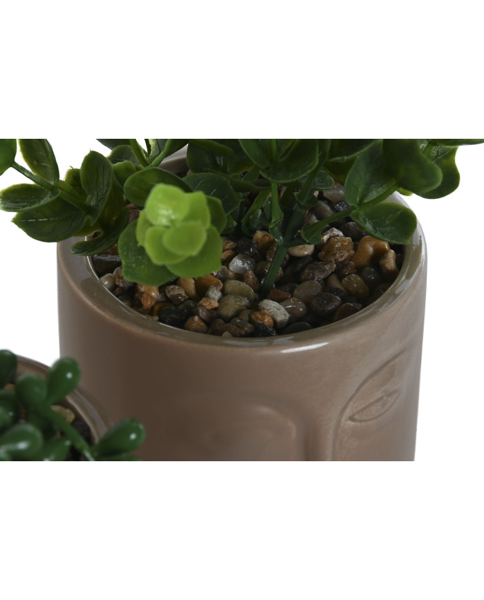 PLANTA CERAMICA PE 11X10X16 MARRON