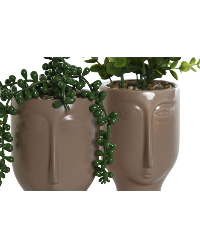 PLANTA CERAMICA PE 11X10X16 MARRON