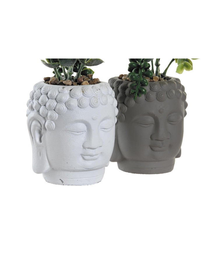 PLANTA CERAMICA PE 8,5X8X14 2 SURT.