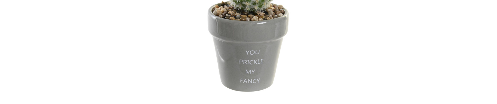 PLANTA CERAMICA PE 8X8X20 CACTUS 2 SURT.