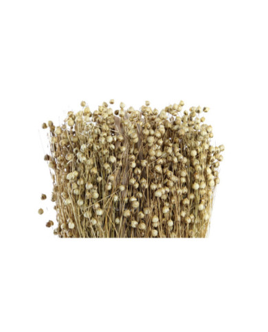 BOUQUET FLOR SECA 12X12X31 TISHI LINAZA NATURAL
