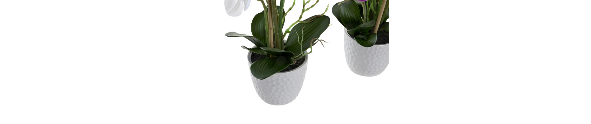 MACETA PORCELANA TELA 18X18X60 ORQUIDEA 2 SURT.