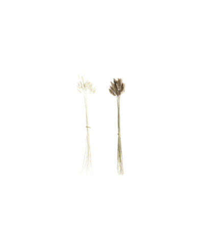 RAMO FLOR SECA 20X20X55 60u, COLA CONEJO 2 SURT.