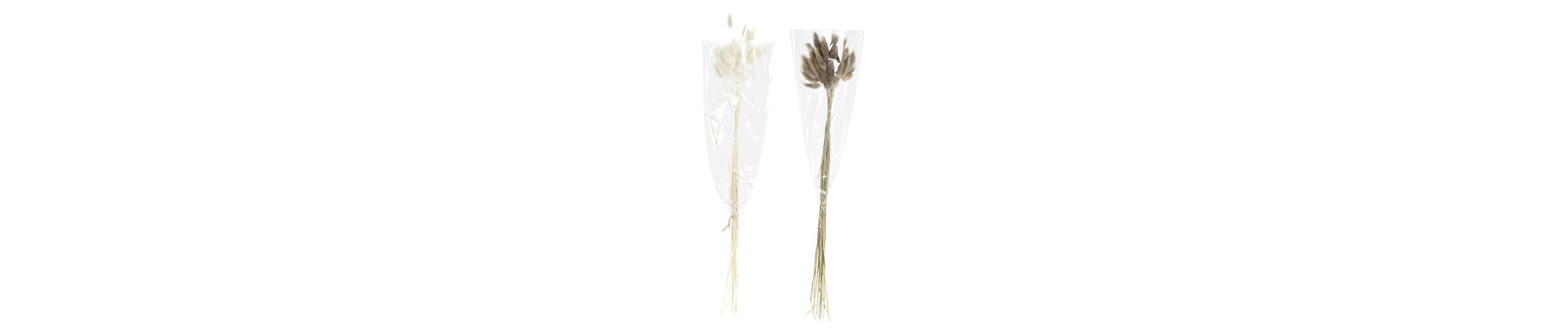 RAMO FLOR SECA 20X20X55 60u, COLA CONEJO 2 SURT.