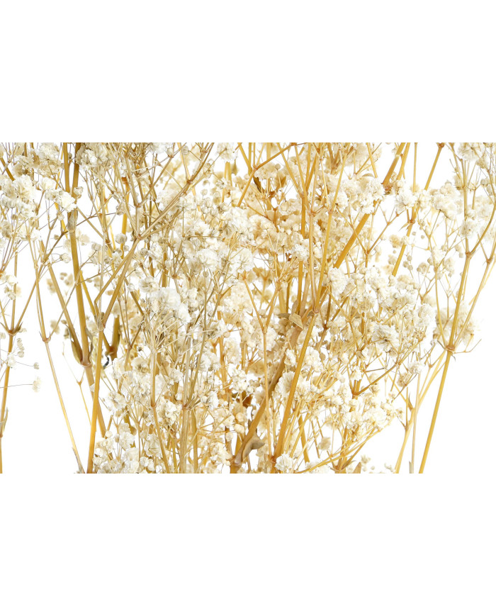 RAMA FLOR SECA 20X20X70 60GR 2 SURT.