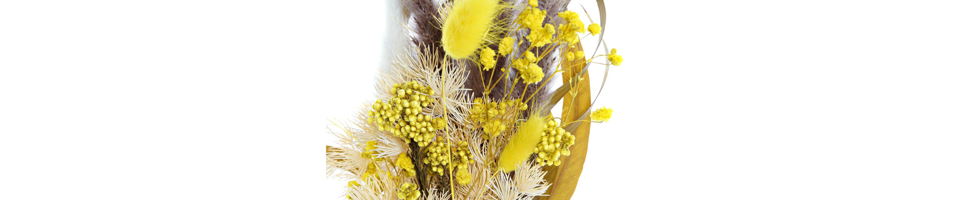 RAMO FLOR SECA 10X5X23 2 SURT.