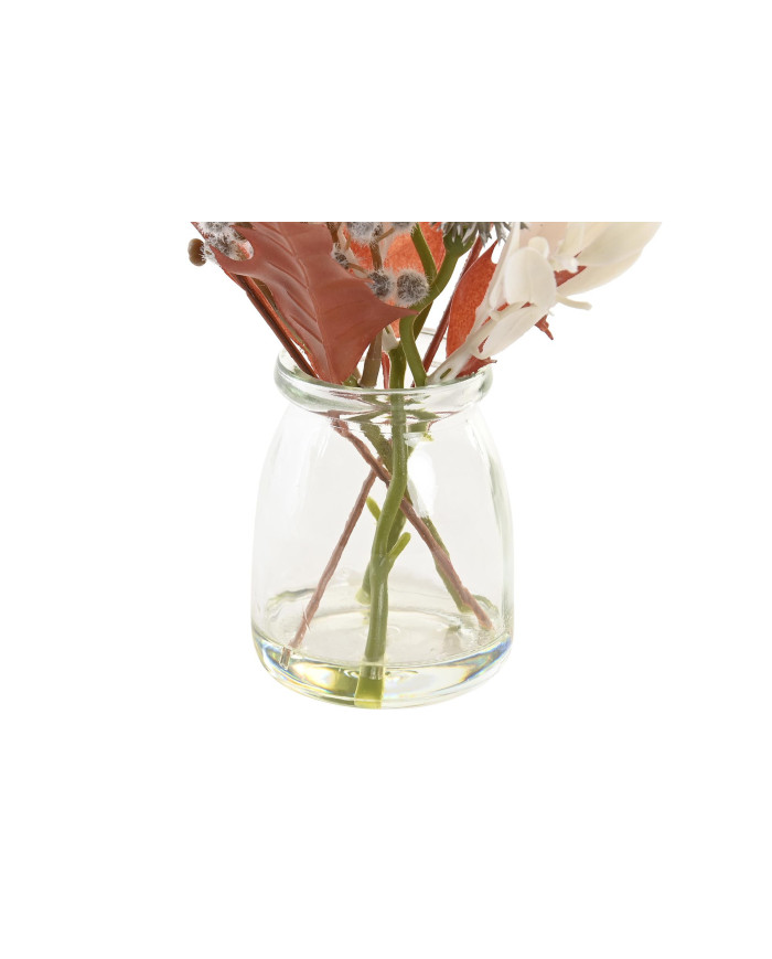PLANTA PE CRISTAL 6X6X27 2 SURT.
