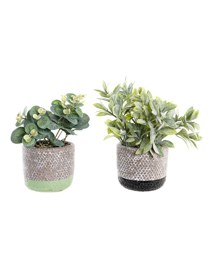 PLANTA RESINA PE 12X12X24 2 SURT.