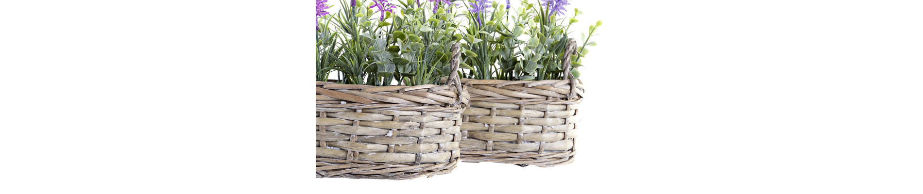 PLANTA MIMBRE PE 19X12X22 LAVANDA 2 SURT.