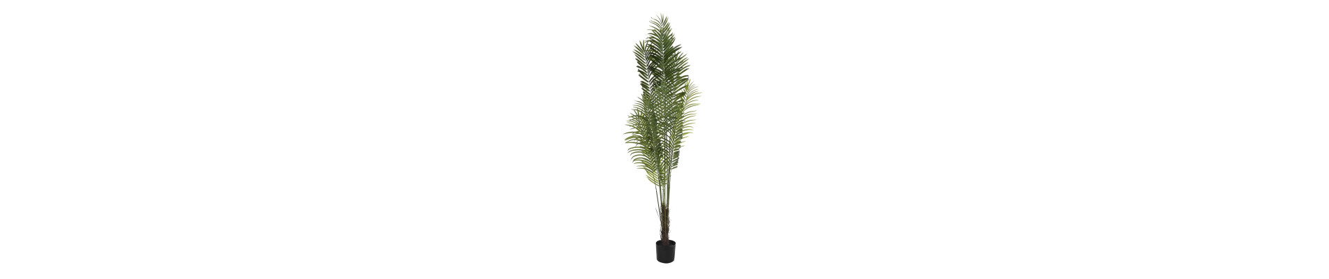 PLANTA POLIESTER PP 100X100X240 PALMERA VERDE