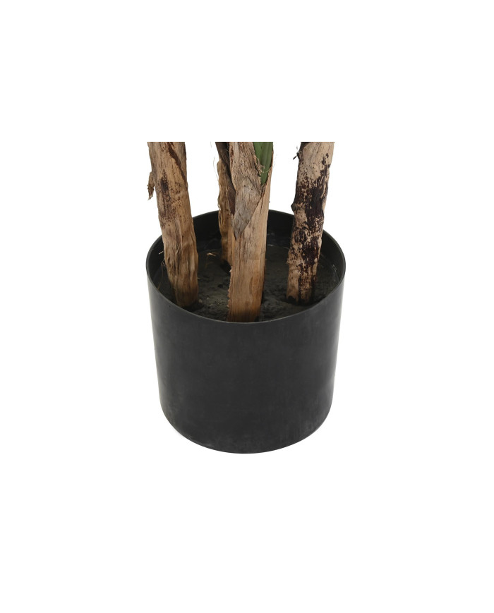 PLANTA POLIESTER PP 90X90X200 AVE DE PARAISO VERDE