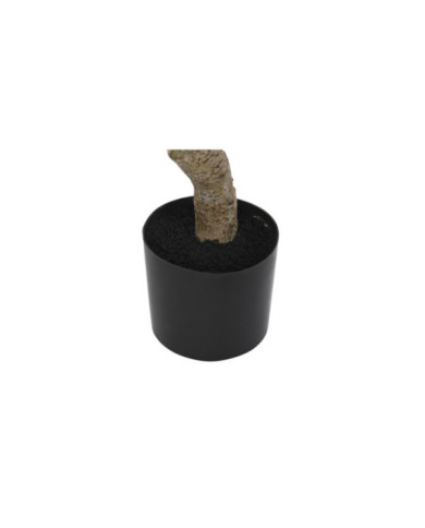 ARBOL POLIESTER PP 80X80X180 PACHIRA ACUATICA