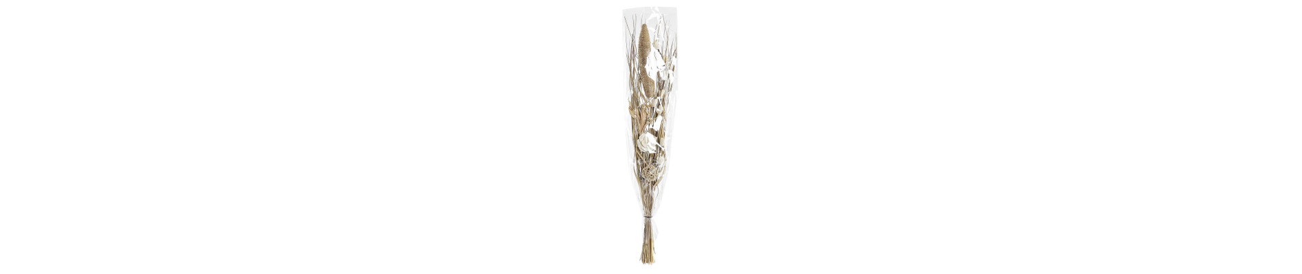 RAMO FLOR SECA 30X30X100 2 SURT.