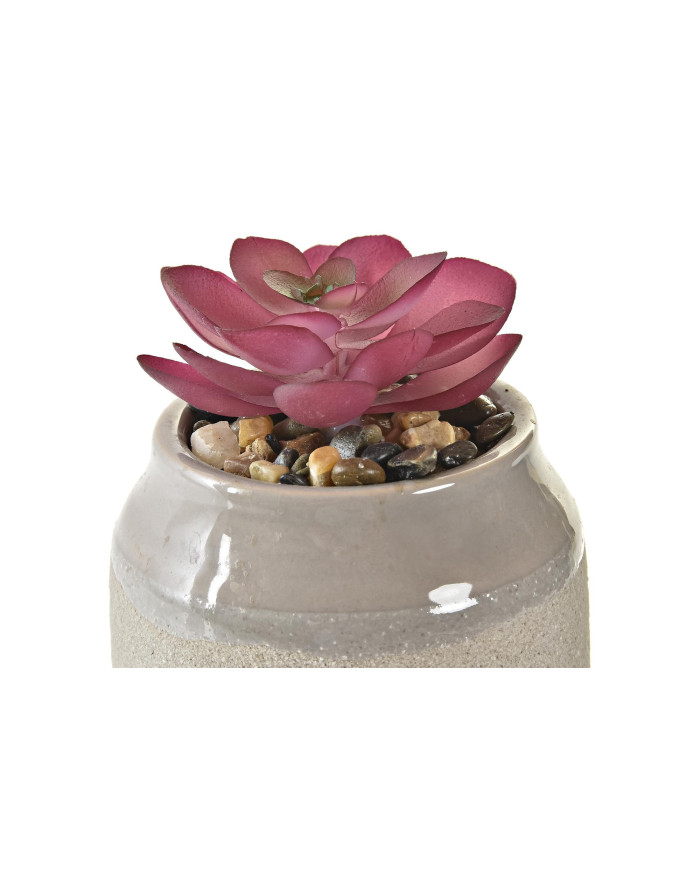 PLANTA PORCELANA 7,5X7,5X12 3 SURT.