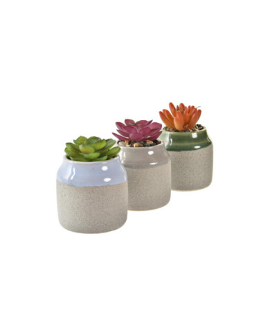 PLANTA PORCELANA 7,5X7,5X12 3 SURT.