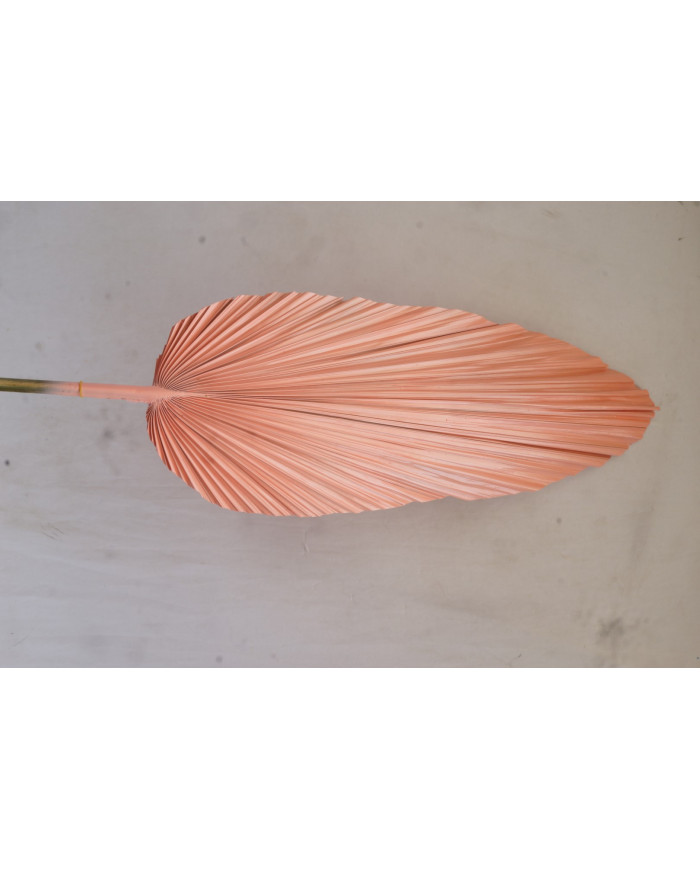 RAMA HOJA DE PALMERA 22X2X148 3 SURT.