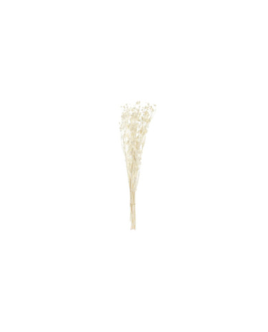 RAMO FLOR SECA 15X15X65 PRISTIMERA CREMA