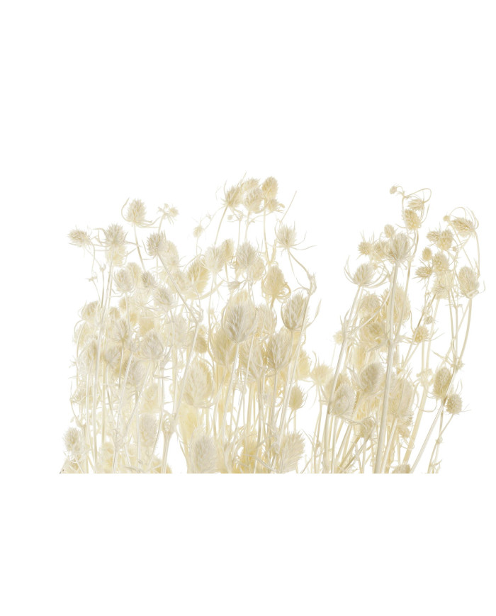 RAMO FLOR SECA 15X15X65 PRISTIMERA CREMA