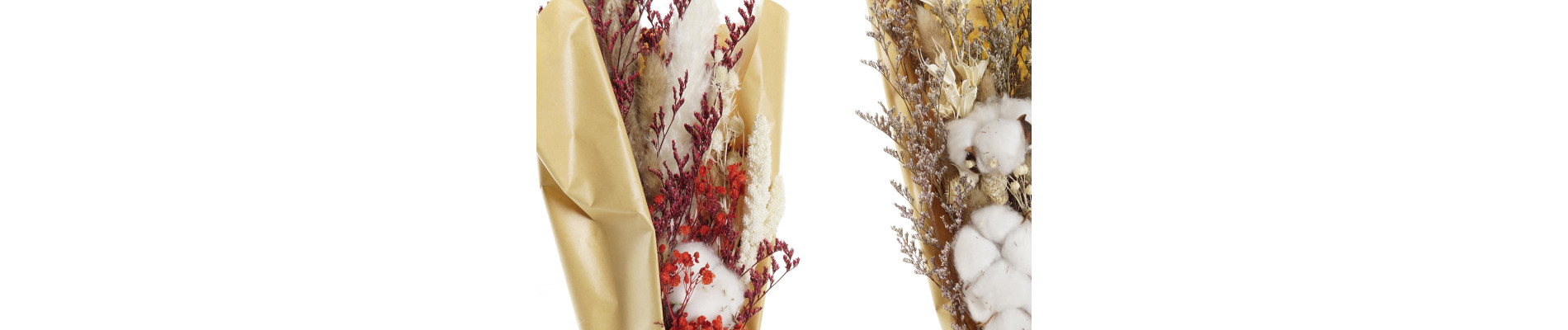 RAMO FLOR SECA 10X3X56 PRESERVADA 2 SURT.