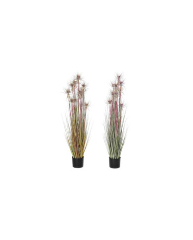 PLANTA PE PVC 40X40X120 2 SURT.