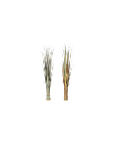 PLANTA PE 20X20X120 2 SURT.