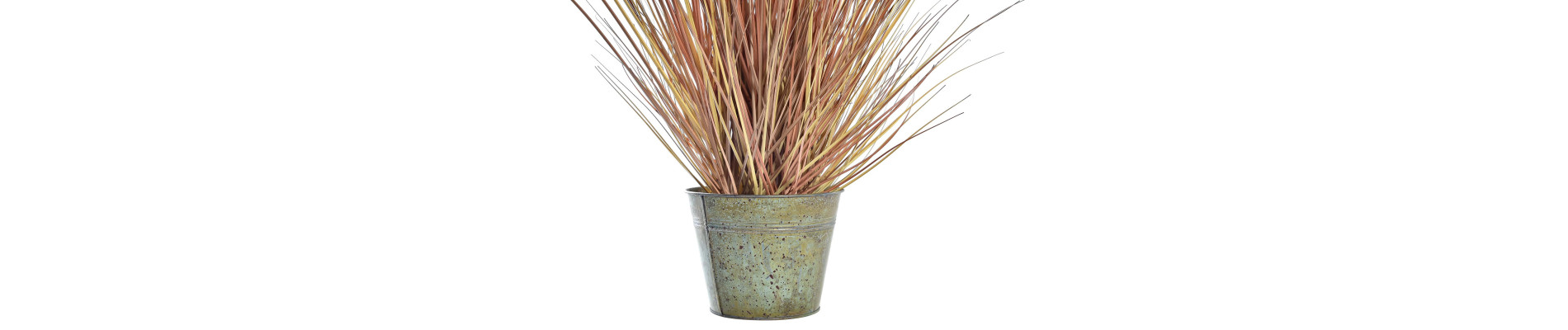 PLANTA PE LATON 20X20X90 PLUMEROS 2 SURT.