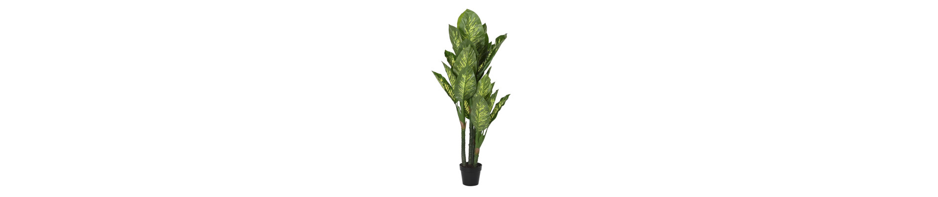 PLANTA PE 50X50X120 DRACENA VERDE