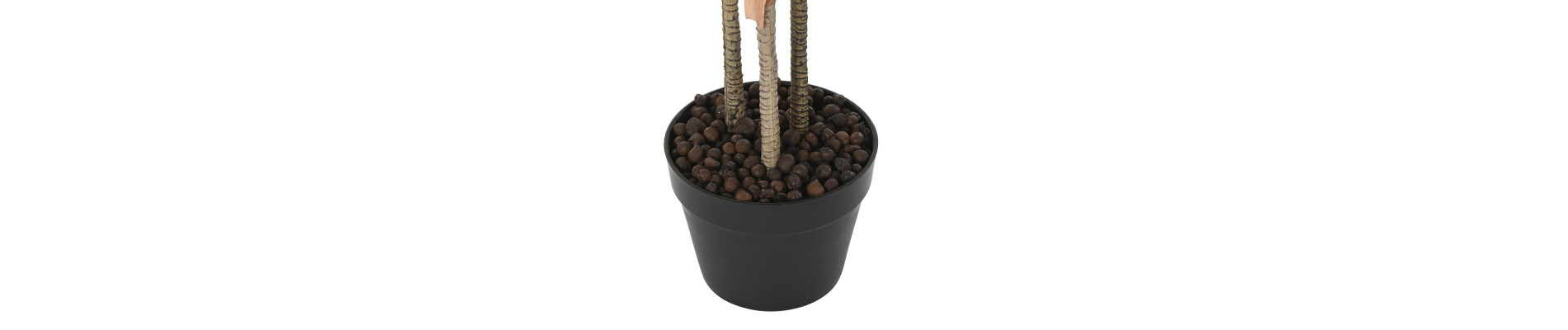 PLANTA PE 50X50X120 DRACENA VERDE