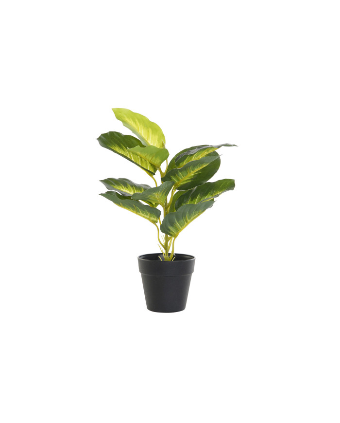 PLANTA PVC PP 25X25X30 DIEFEMBAQUIA VERDE