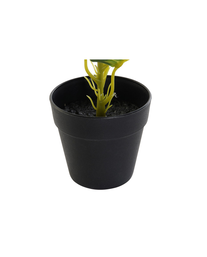 PLANTA PVC PP 25X25X30 DIEFEMBAQUIA VERDE