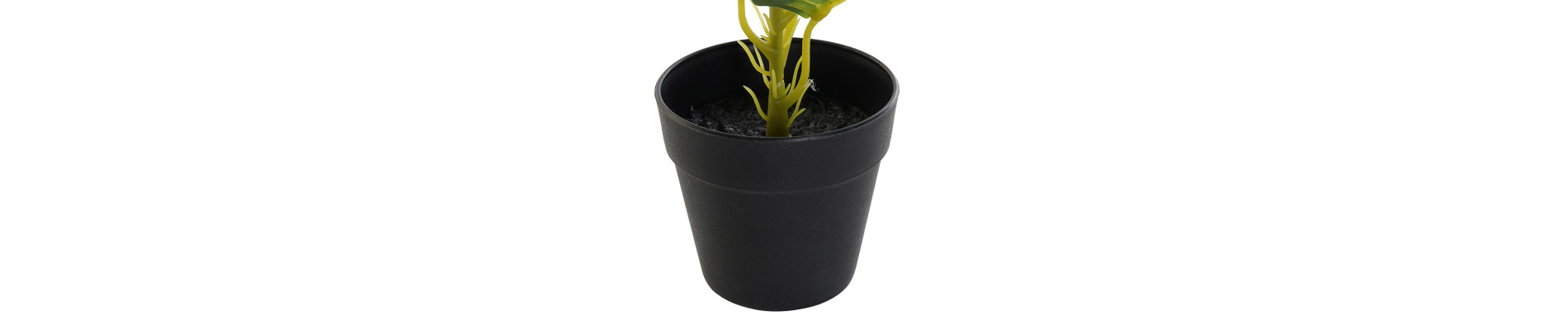 PLANTA PVC PP 25X25X30 DIEFEMBAQUIA VERDE