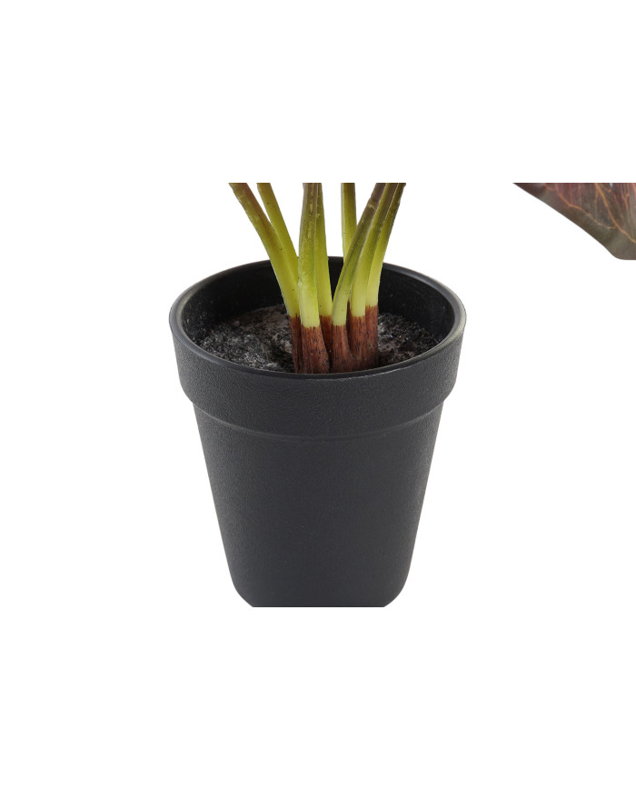 PLANTA PE 20X20X38 ROJO