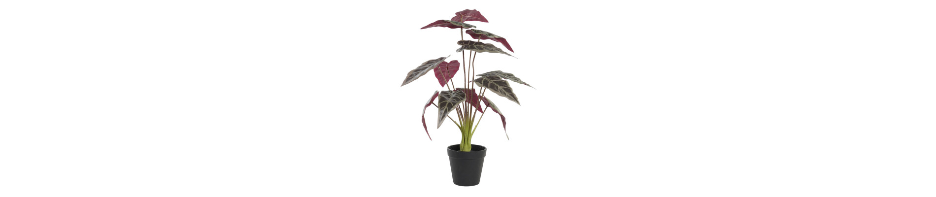 PLANTA PE 20X20X49 VERDE