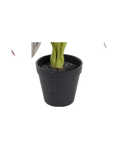 PLANTA PE 20X20X49 VERDE
