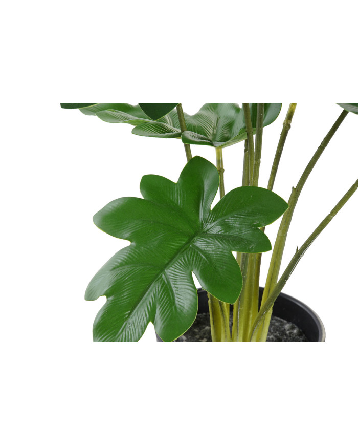 PLANTA PE 20X20X40 VERDE