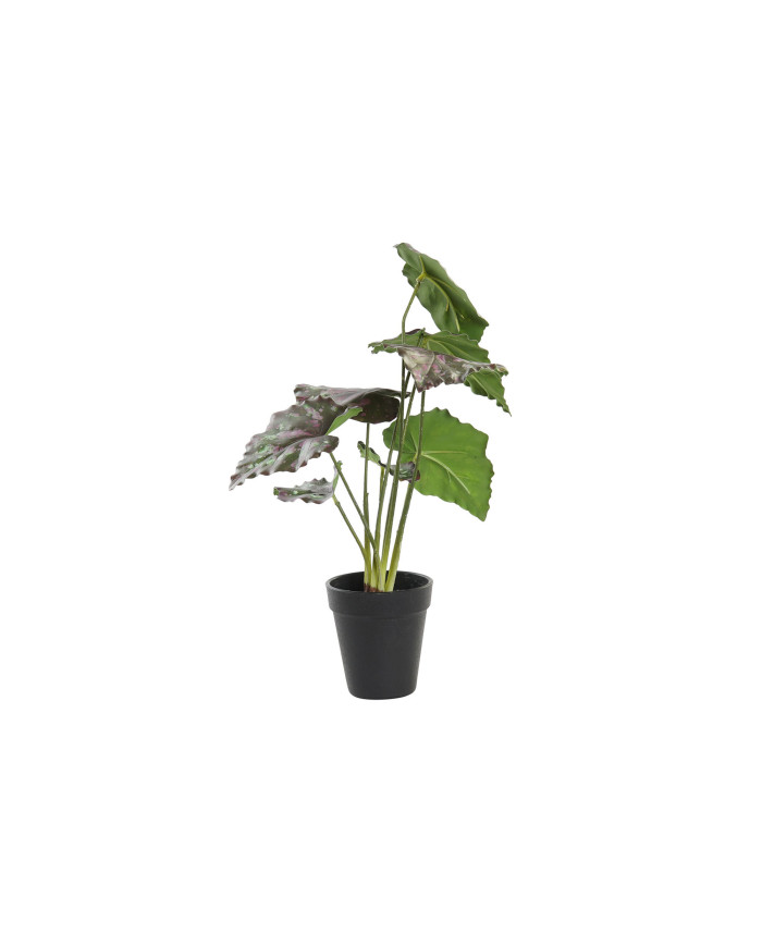 PLANTA PE 20X20X39 VERDE