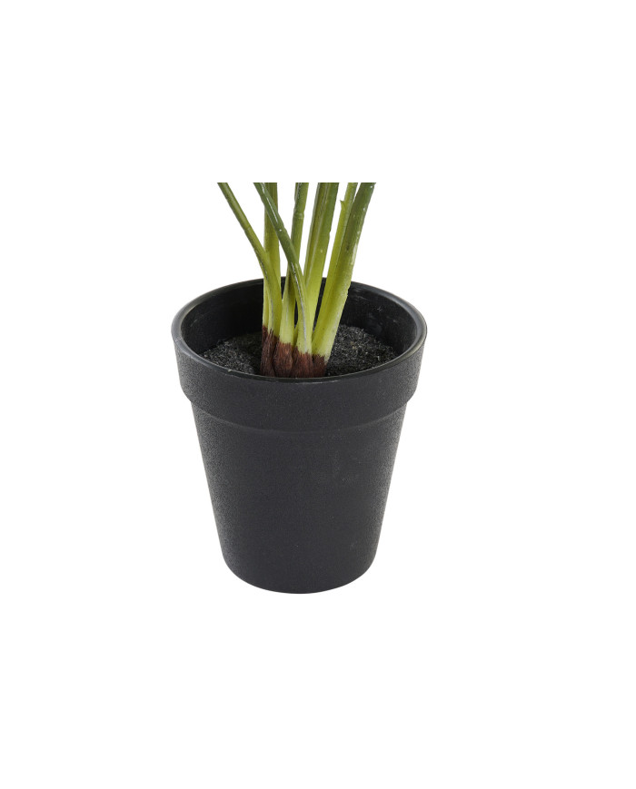 PLANTA PE 20X20X39 VERDE