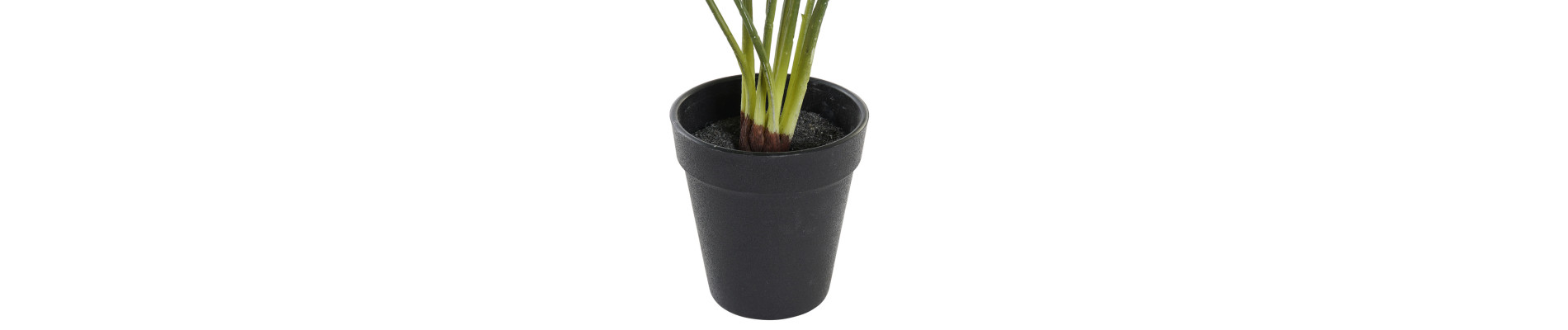 PLANTA PE 20X20X39 VERDE