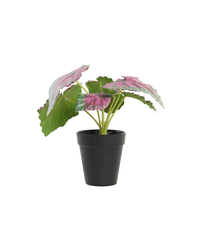 PLANTA PE 10X10X22 VERDE
