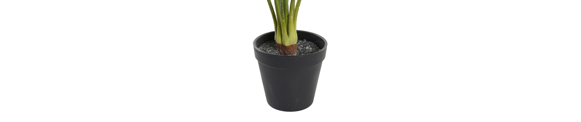 PLANTA PE 30X30X58 VERDE