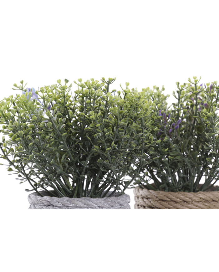 PLANTA PE EVA 15X15X16 2 SURT.