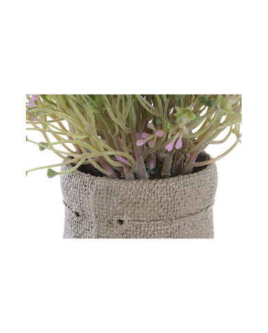 PLANTA PE EVA 20X20X19 2 SURT.