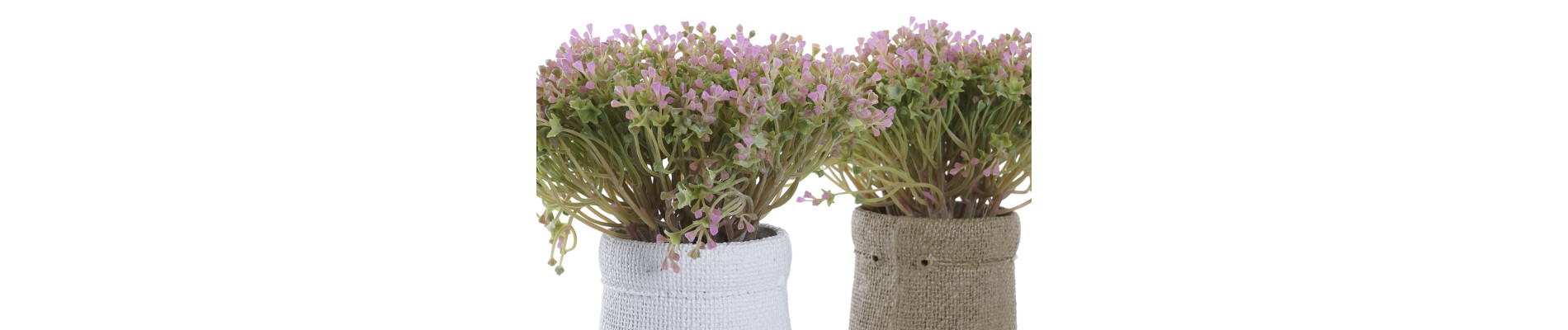 PLANTA PE EVA 20X20X19 2 SURT.
