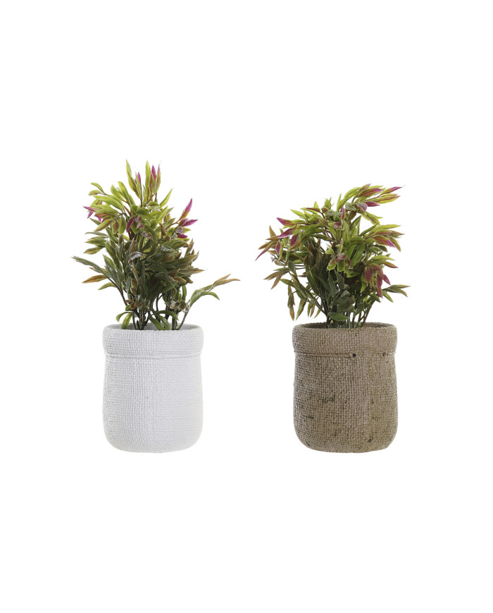PLANTA PE EVA 16X16X21 2 SURT.