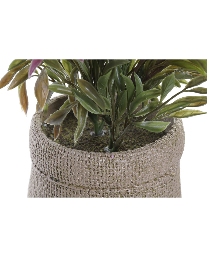 PLANTA PE EVA 16X16X21 2 SURT.